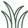 Grass